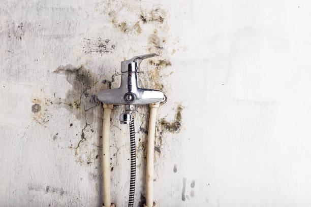Office Mold Removal Services in Gardere, LA