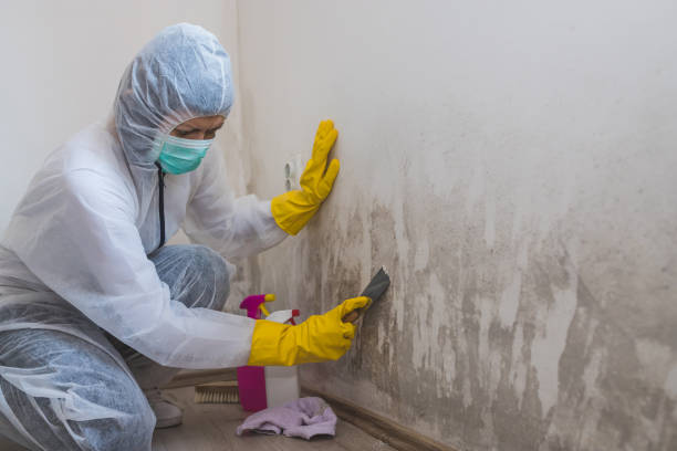 Best Residential Mold Removal  in Gardere, LA