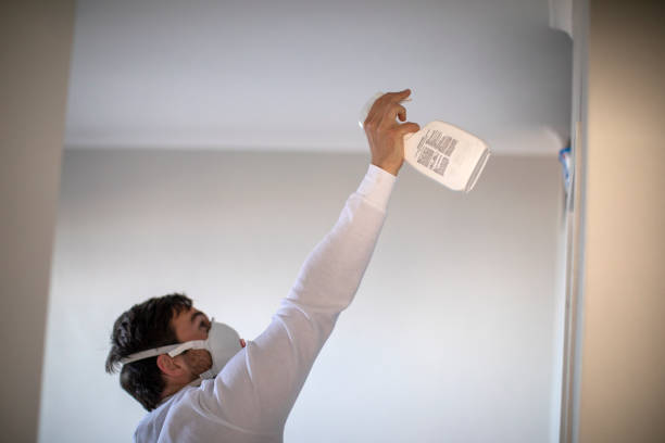 Best Commercial Mold Removal  in Gardere, LA