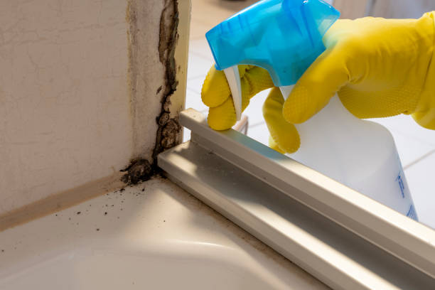 Best Commercial Mold Removal  in Gardere, LA