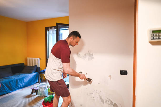 Best Attic Mold Removal  in Gardere, LA