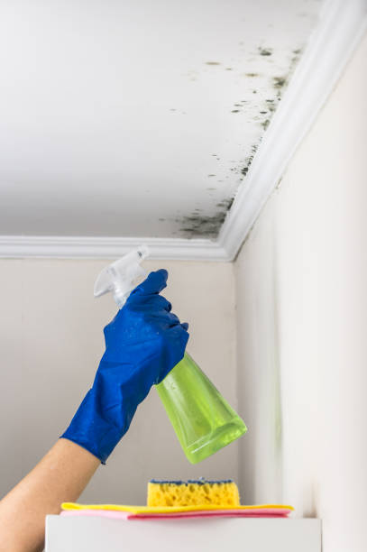 Best Crawl Space Mold Removal  in Gardere, LA