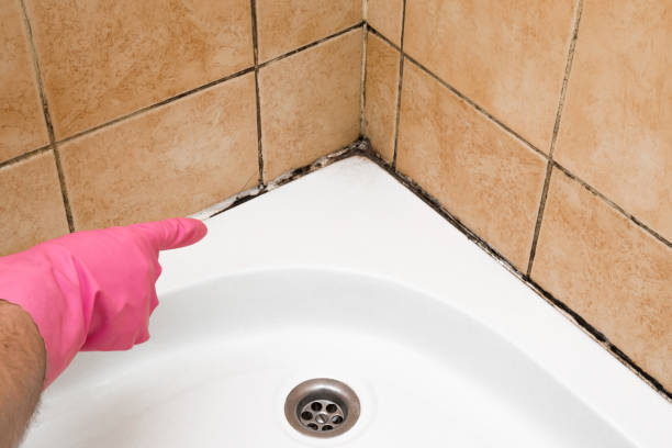 Best Home Mold Removal  in Gardere, LA